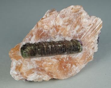Fluorapatite XL